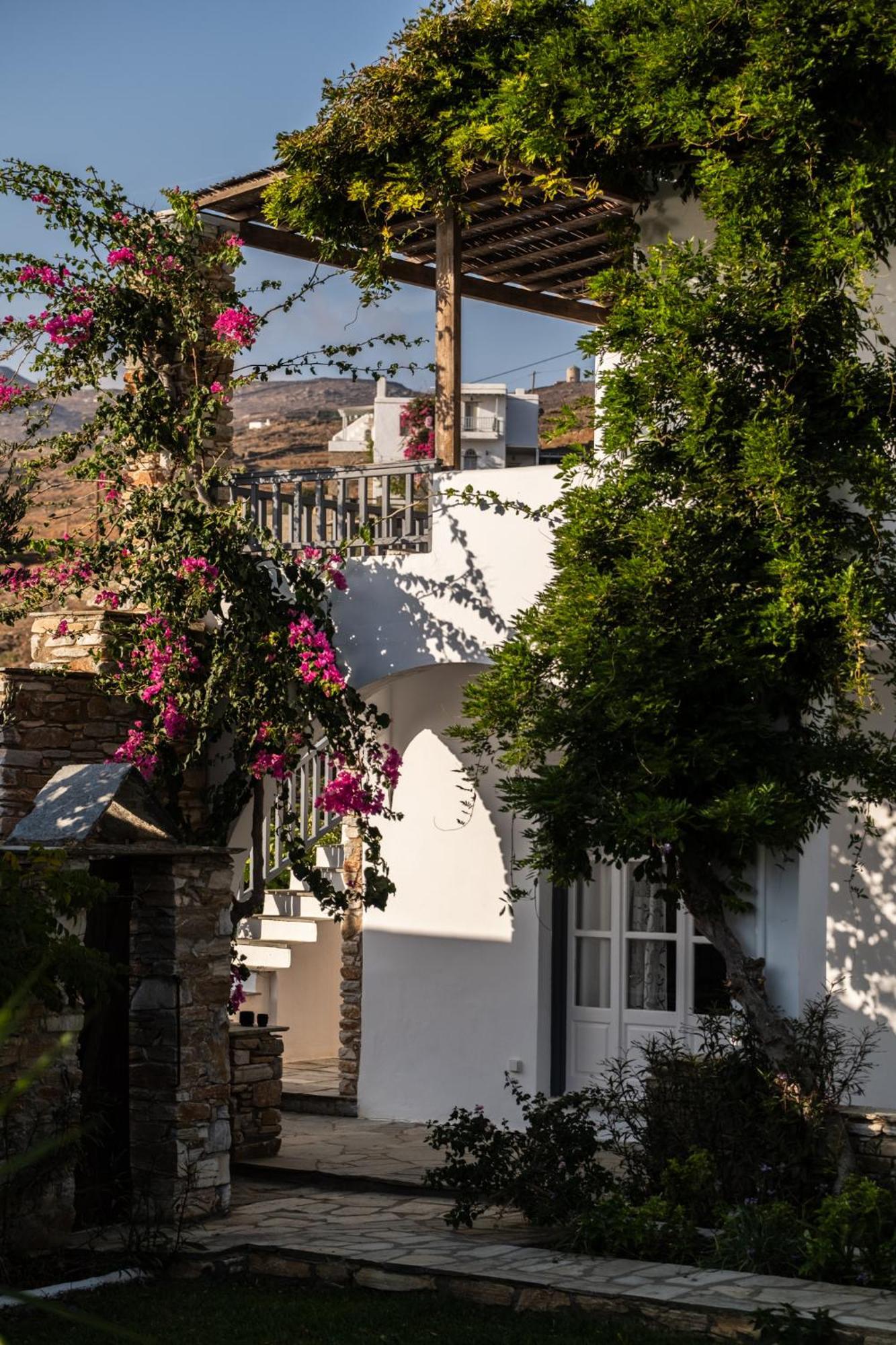 Romano Garden House - Land Tales Agios Romanos Eksteriør billede