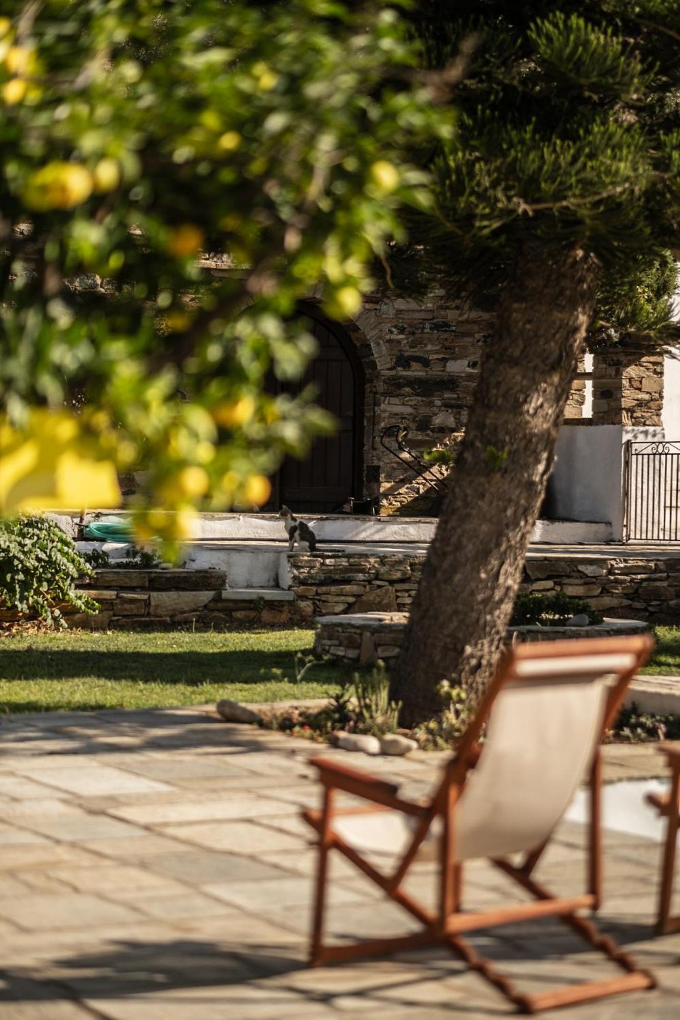 Romano Garden House - Land Tales Agios Romanos Eksteriør billede